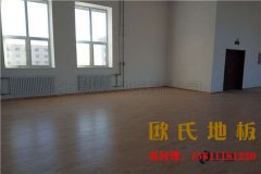 楓樺木體育場館木地板價格