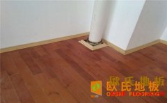 拚裝籃球場木地板維護