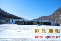 舞蹈室地板膠不（bú）反光